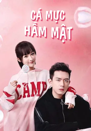 Xem Phim Cá Mực Hầm Mật Vietsub HD Online - Rophim