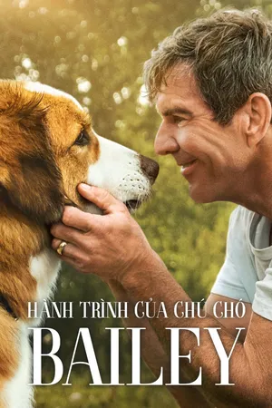 Hành Trình Của Chú Chó Bailey