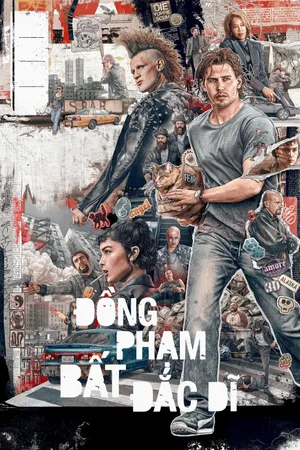 Đồng Phạm Bất Đắc Dĩ