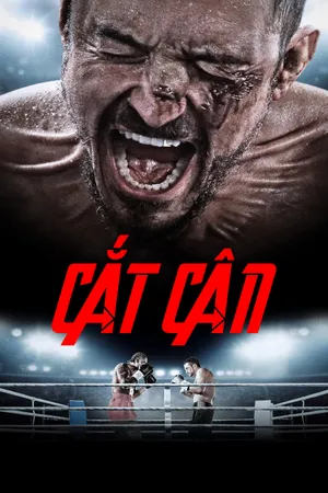 Cắt Cân