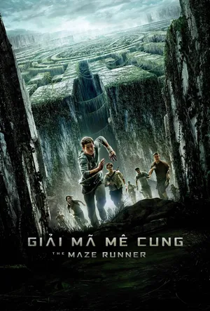 Xem Phim Giải Mã Mê Cung Vietsub HD Online - Rophim