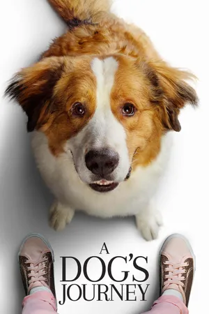 Hành Trình Của Chú Chó Bailey
