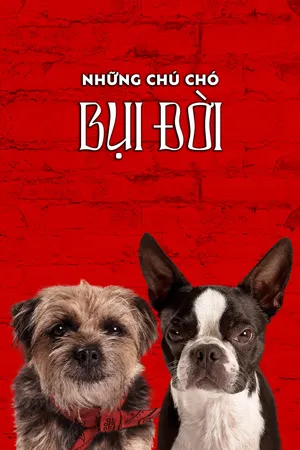 Xem Phim Đời Chó Hoang Vietsub HD Online - Rophim