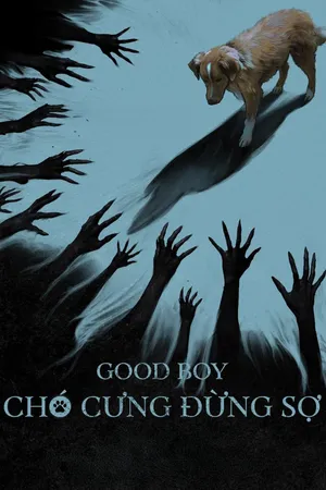 Chó Cưng Đừng Sợ
