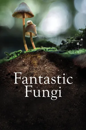 Phim Nấm Fantastic Fungi - {site_name}