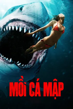 Mồi Cá Mập