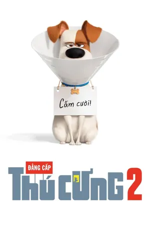 Phim Đẳng Cấp Thú Cưng 2 - {site_name}