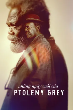 Những Ngày Cuối Của Ptolemy Grey